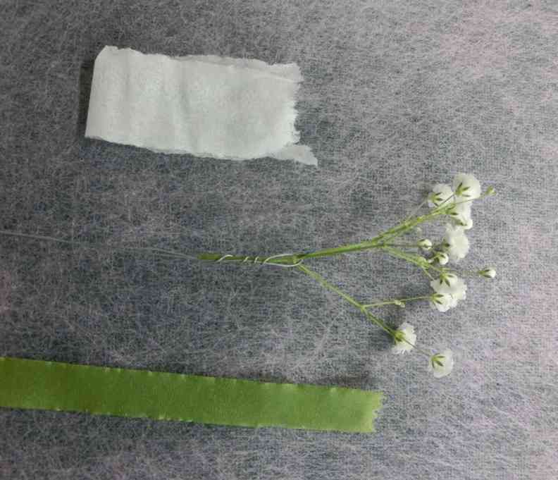 3カスミ草
